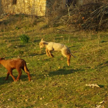 Laudinie Σπίτι διακοπών *