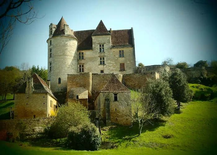 Laudinie 別荘 Fleurac