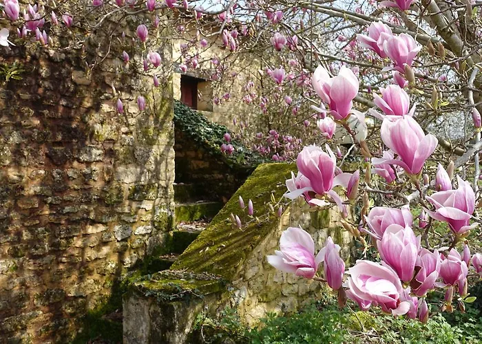 Laudinie Fleurac (Dordogne)